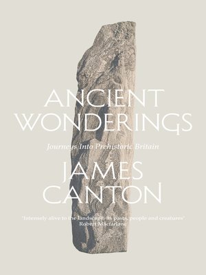 cover image of Ancient Wonderings